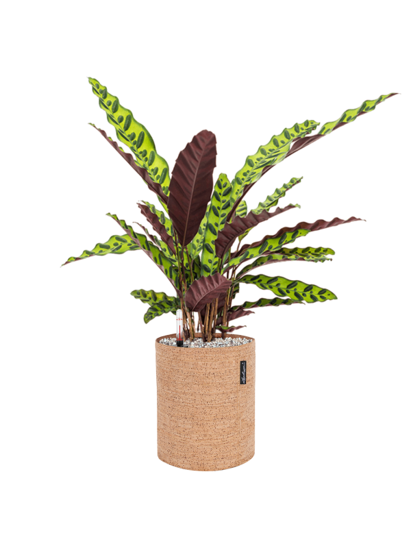 Pot trendcover cylinder marron