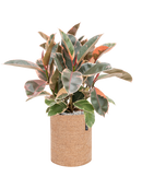 Pot trendcover cylinder marron