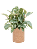 Pot trendcover cylinder marron