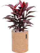 Pot trendcover cylinder marron