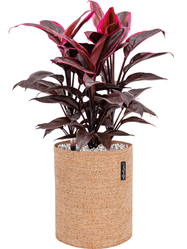 Pot trendcover cylinder marron