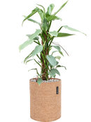 Pot trendcover cylinder marron