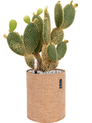 Pot trendcover cylinder marron