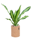 Pot trendcover cylinder marron