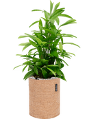 Pot trendcover cylinder marron