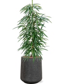 Pot raindrop darcy anthracite