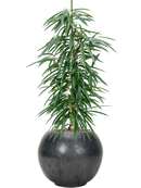 Pot plain globe anthracite