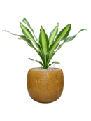 Pot marly couple jaune