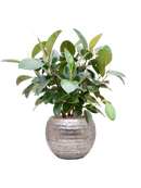 Pot opus globe argent