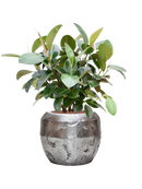 Pot opus couple argent