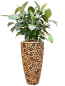 Pot facets partner marron