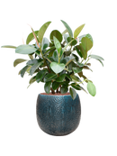 Pot marly couple bleue