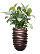 Pot gradient partner marron