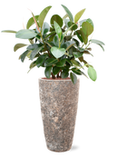 Pot lava partner marron