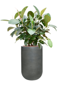 Pot ridged cylinder grise