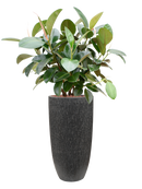 Pot raindrop partner anthracite