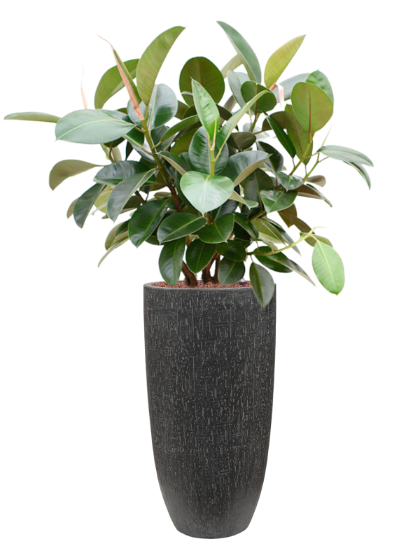 Pot raindrop partner anthracite