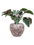 Pot oceana couple marron