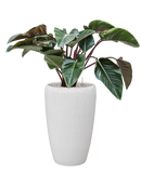 Pot vogue partner blanche