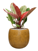 Pot marly couple jaune