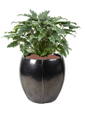 Pot moda emperor anthracite