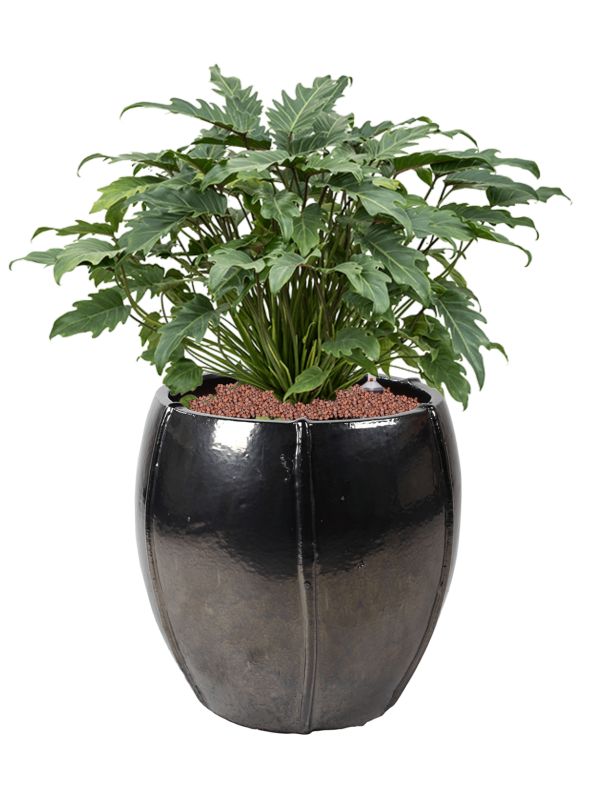 Pot moda emperor anthracite