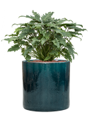 Pot cylinder cylinder bleue