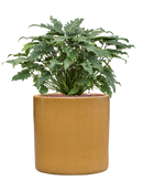 Pot cylinder cylinder jaune