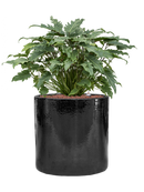 Pot cylinder cylinder noire