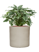 Pot cylinder cylinder blanche