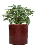 Pot cylinder cylinder rouge