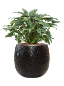 Pot marly couple noire