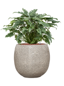 Pot marly couple blanche