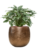 Pot marly couple d'or