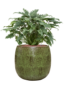 Pot marly couple verte