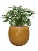 Pot marly couple jaune