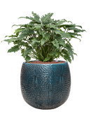 Pot marly couple bleue