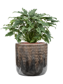 Pot luxe lite cylinder bronze