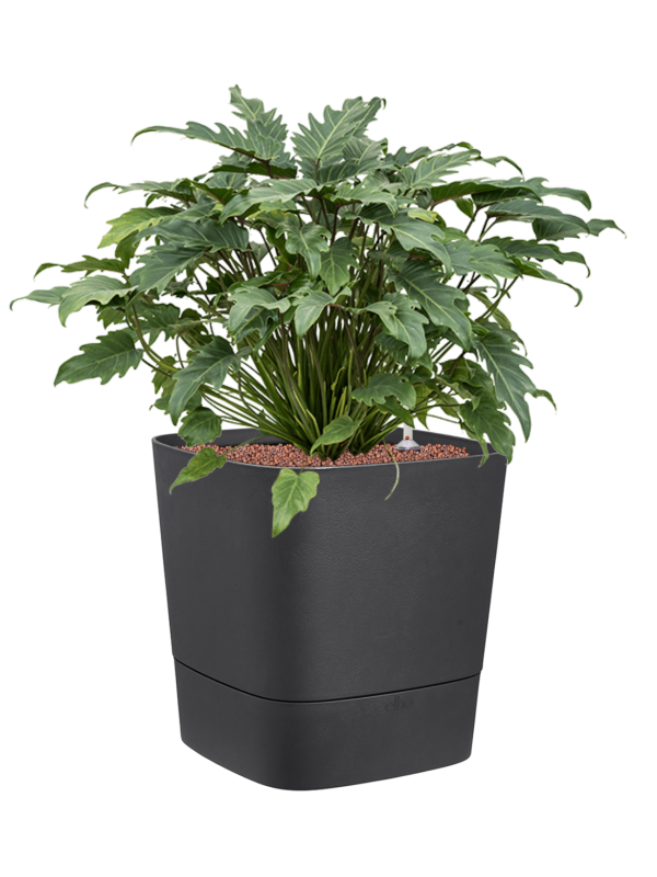 Pot greensense aqua care cube anthracite