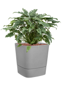 Pot greensense aqua care cube grise