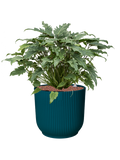 Pot vibes cylinder bleue