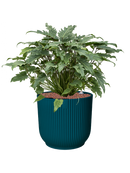Pot vibes cylinder bleue