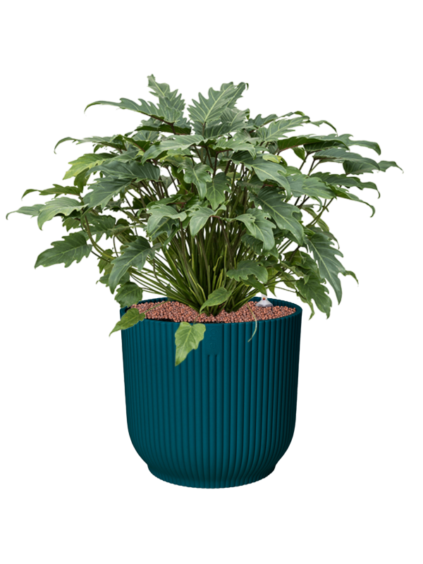 Pot vibes cylinder bleue