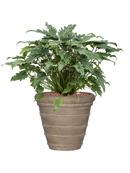 Pot treasure couple beige