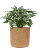 Pot dune cylinder marron