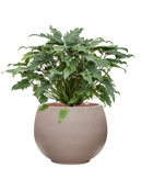 Pot rotunda globe grise