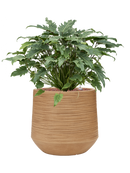 Pot dune darcy marron