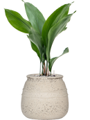 Pot mediterranean darcy blanche