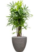 Pot naturescast® couple grise