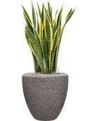 Pot naturescast® couple grise